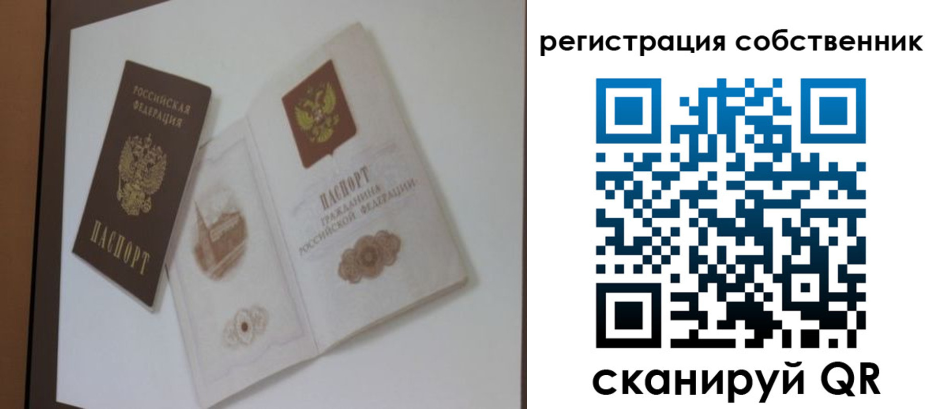 временная регистрация надежно в Палласовке